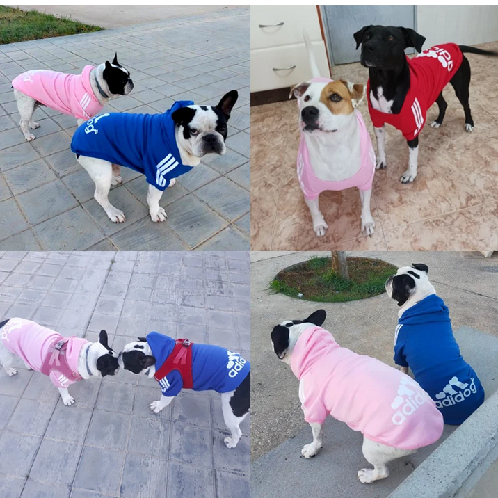 Home screenshot 2024 03 02 at 06 39 57 0.99us $ 89% off brown dog clothing winter fleece dog coat warm solid cotton hoodie for small to large breeds