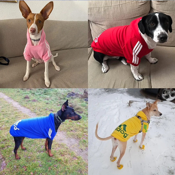 Home screenshot 2024 03 02 at 06 40 07 0.99us $ 89% off brown dog clothing winter fleece dog coat warm solid cotton hoodie for small to large breeds(1)