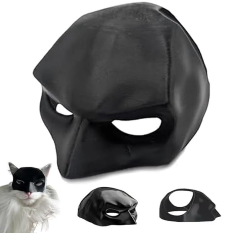 Home cats1